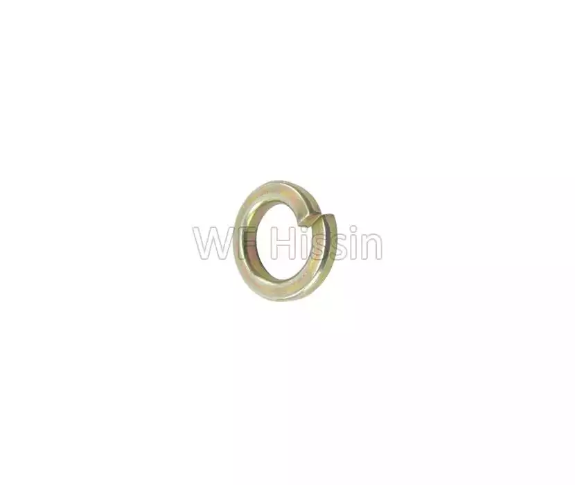 Spring washer M10